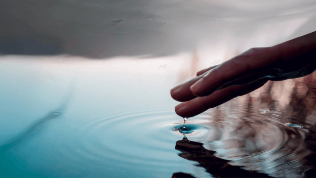 Diary campaign- reduce wasterwater.png