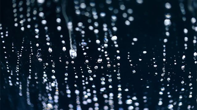 Water drops on a surface.jpg