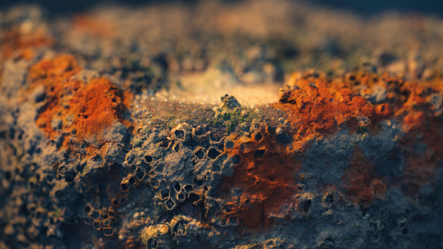 Biofouling_640x360.png