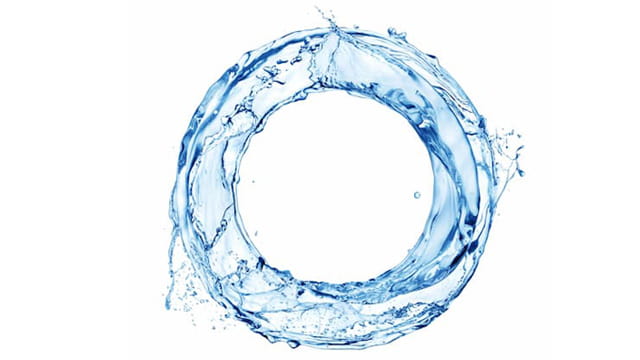 R&eacute;ut des eaux us&eacute;es en laiterie et valorisation des sous-produits