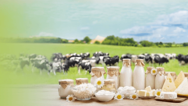 Diary campaign (2).png