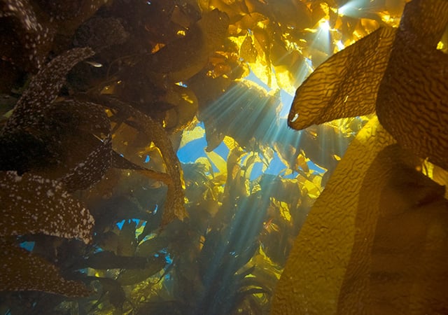 Get our white paper on challenging water quality-v5.jpg